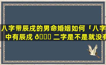 八字带辰戌的男命婚姻如何「八字中有辰戌 🐛 二字是不是就没有贵人了」